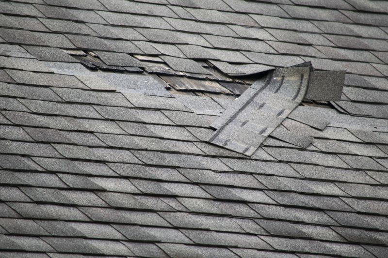 Repair of Damaged Shingles